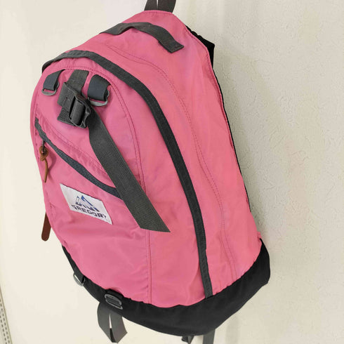 グレゴリー GREGORY 別注 VINTAGE NICE DAY FUCHSIA バックパック レディース